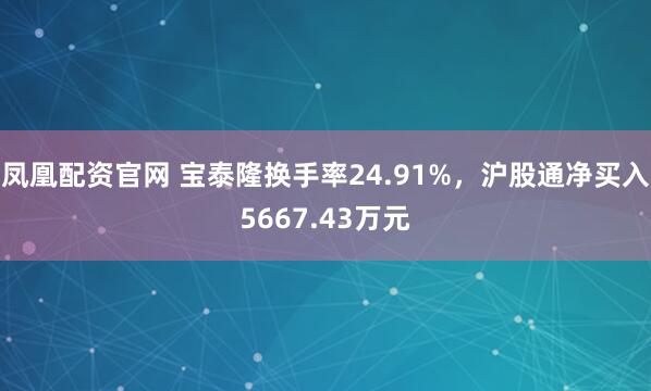 凤凰配资官网 宝泰隆换手率24.91%,沪股通净买入5667.43万元