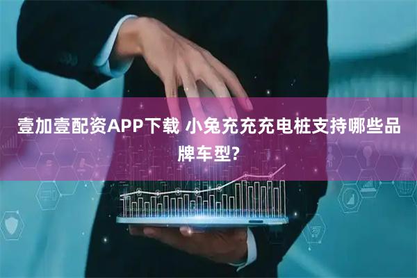 壹加壹配资APP下载 小兔充充充电桩支持哪些品牌车型?