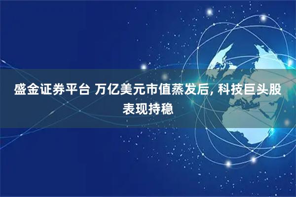 盛金证券平台 万亿美元市值蒸发后, 科技巨头股表现持稳